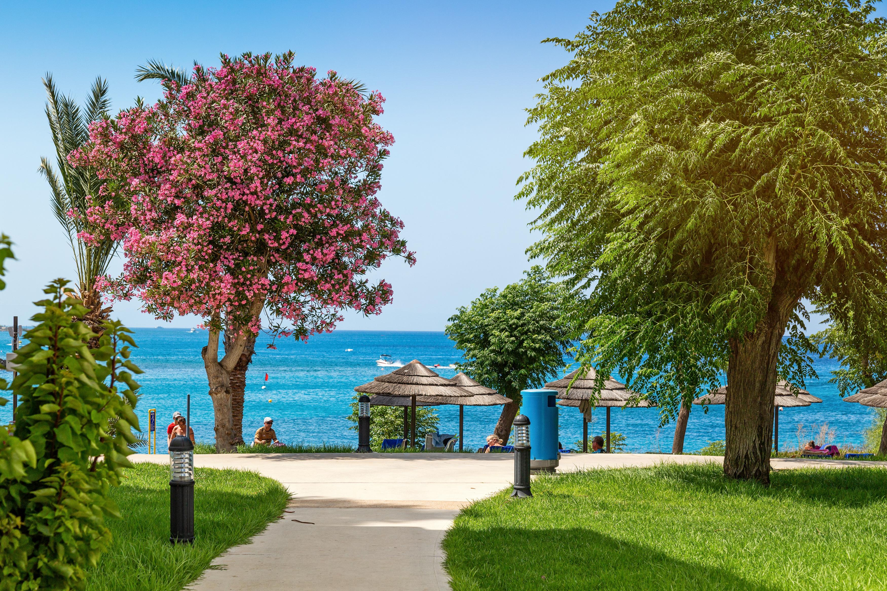 Nausicaa Beach Πρωταράς Εξωτερικό φωτογραφία